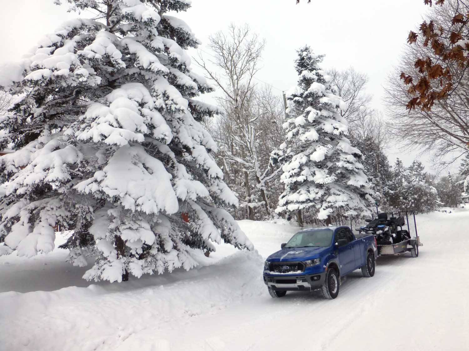 snowranger0433.jpg