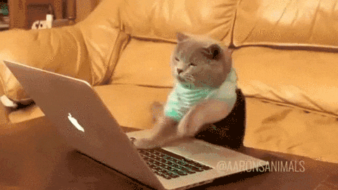 1738078013073-gp.gif