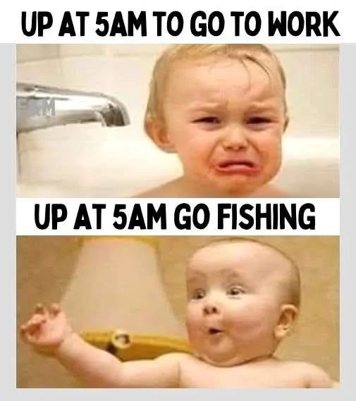 5AM.webp