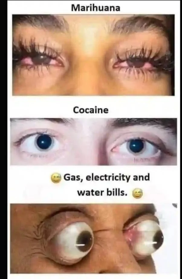 Eyes.webp