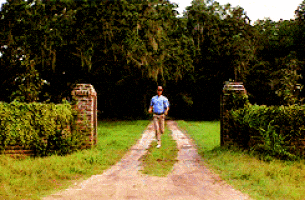 1738504499755-ui.gif