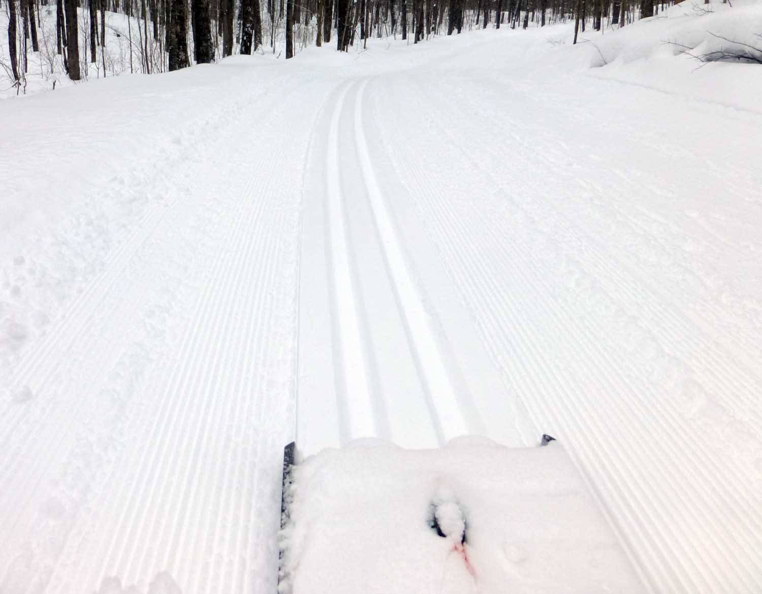 brttracks653.jpg