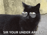1738672482109-xq.gif
