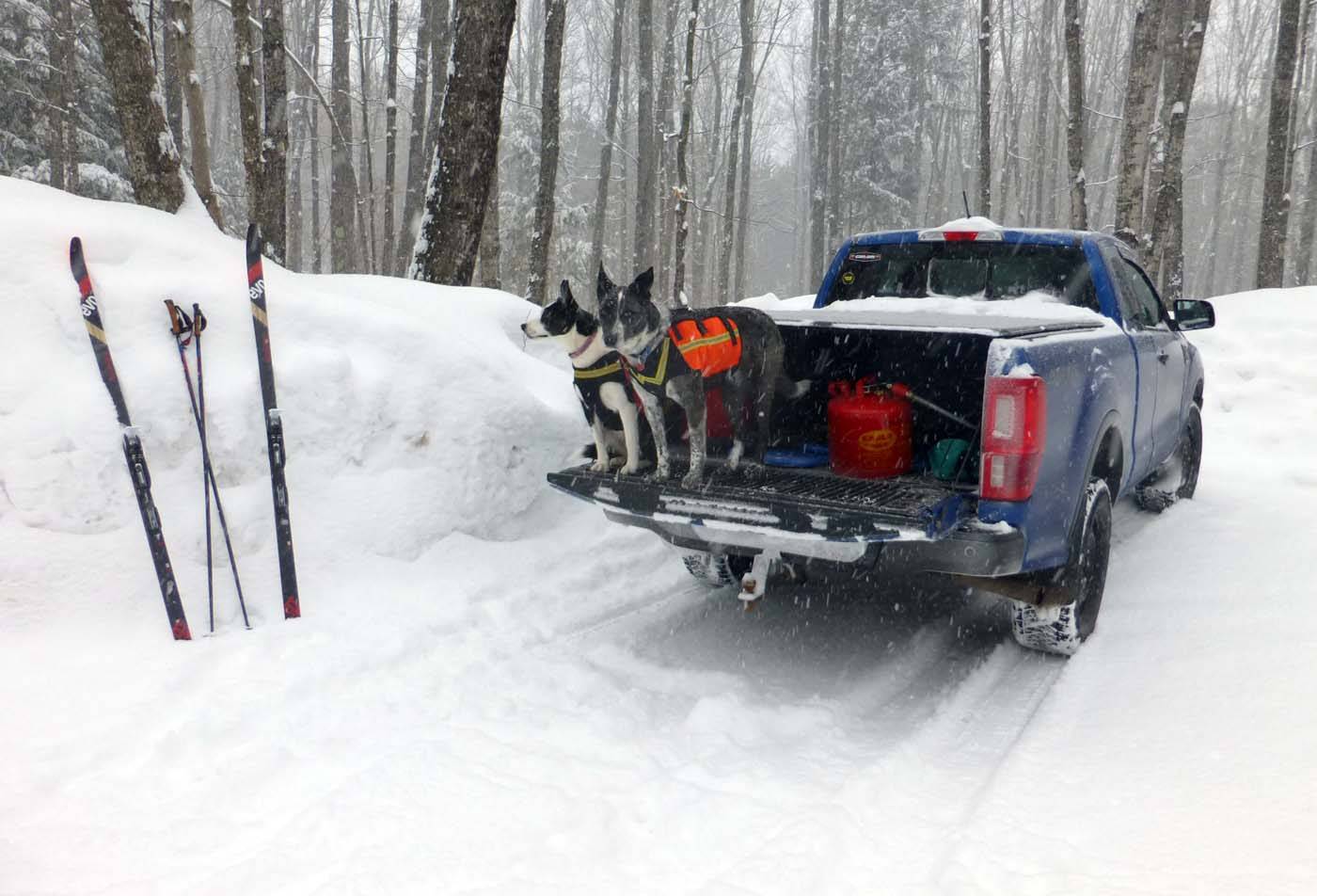 rangersnow74.jpg