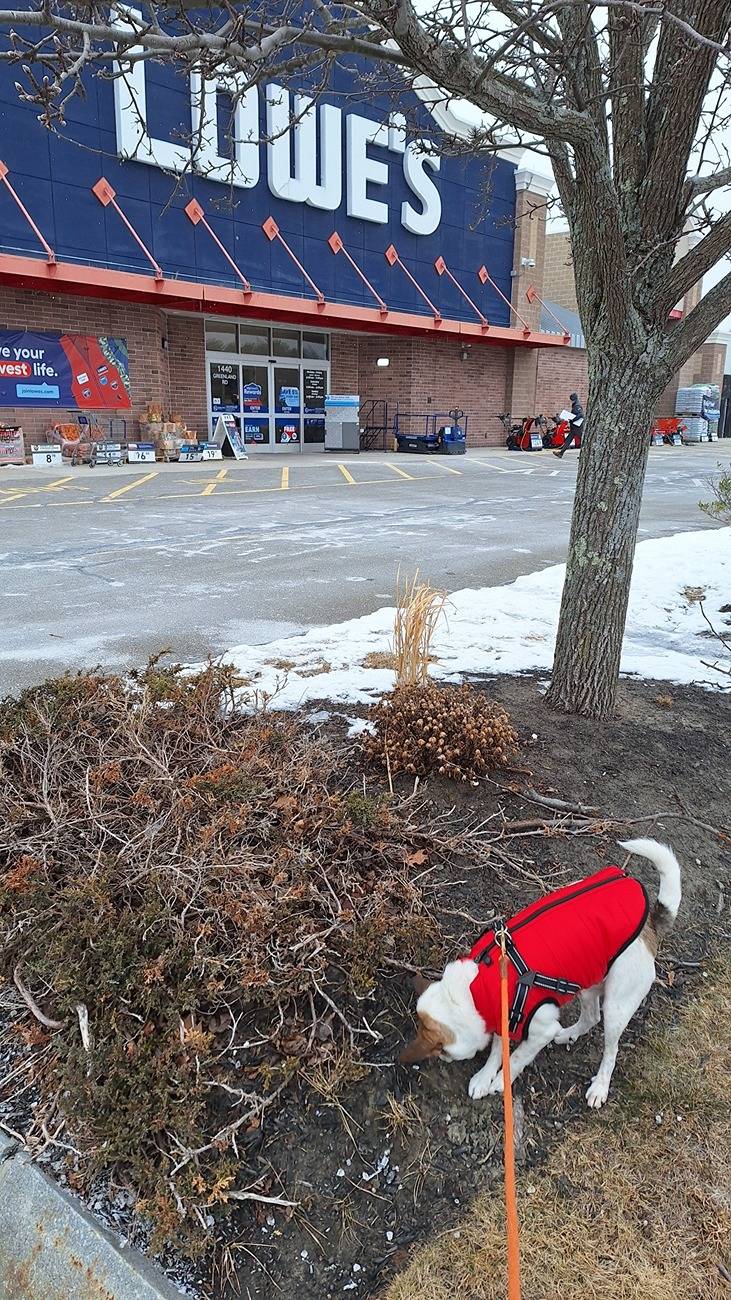 lowes3b.jpg