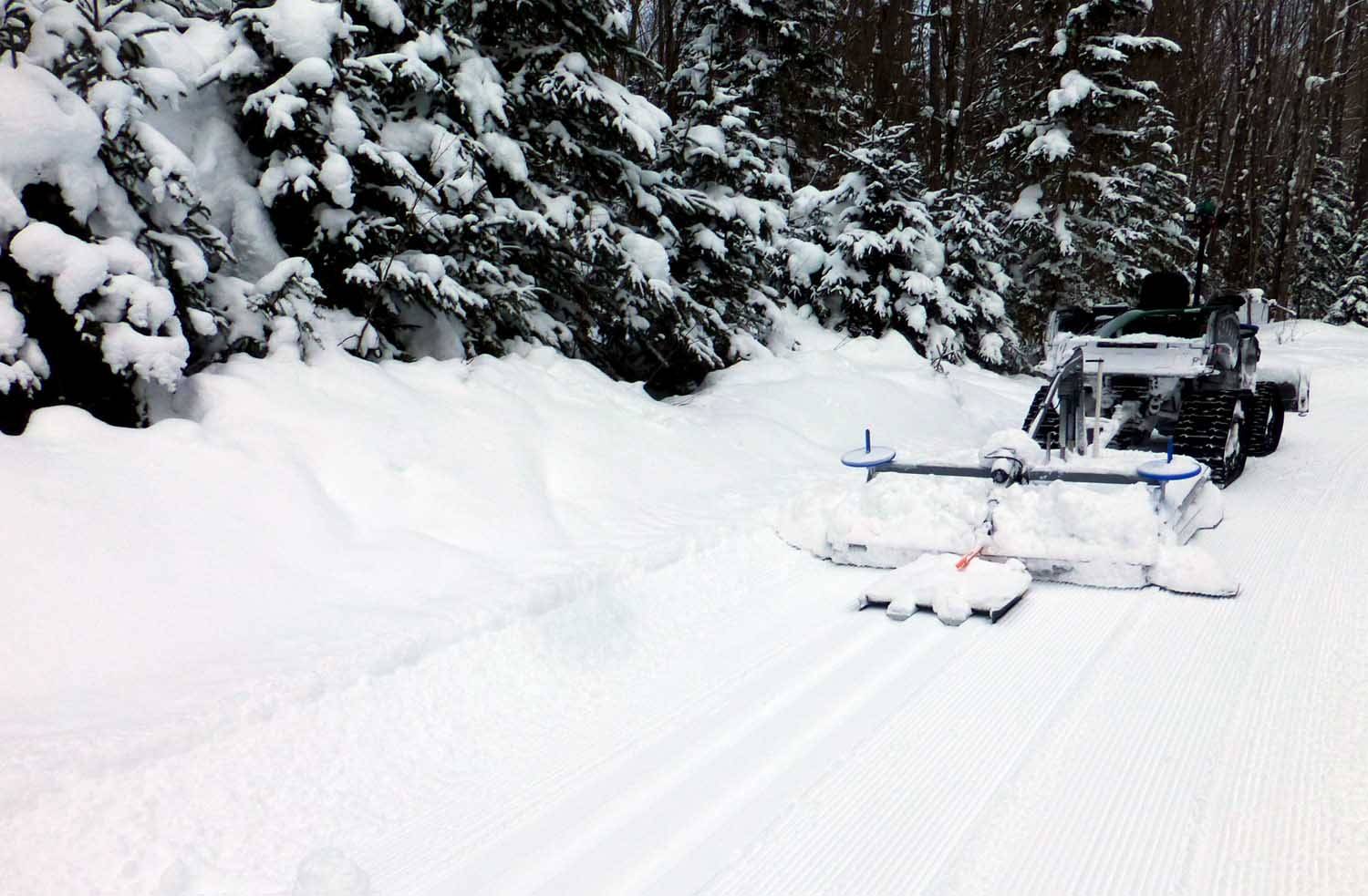 brtsnow0995.jpg