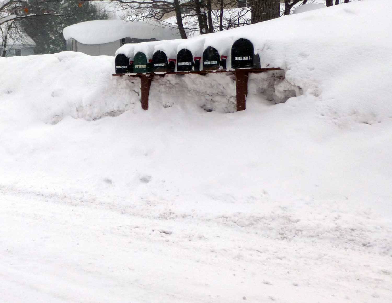 snow979.jpg