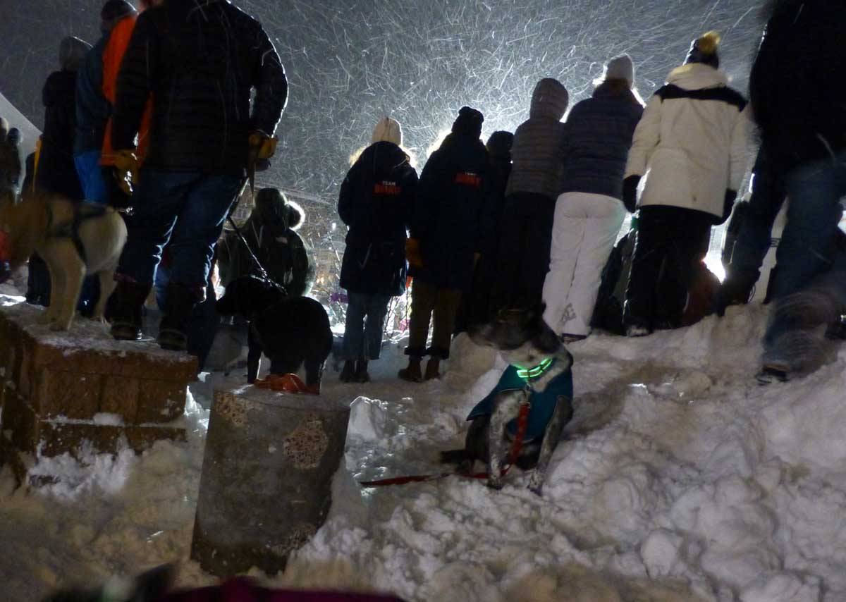 snow20891.jpg