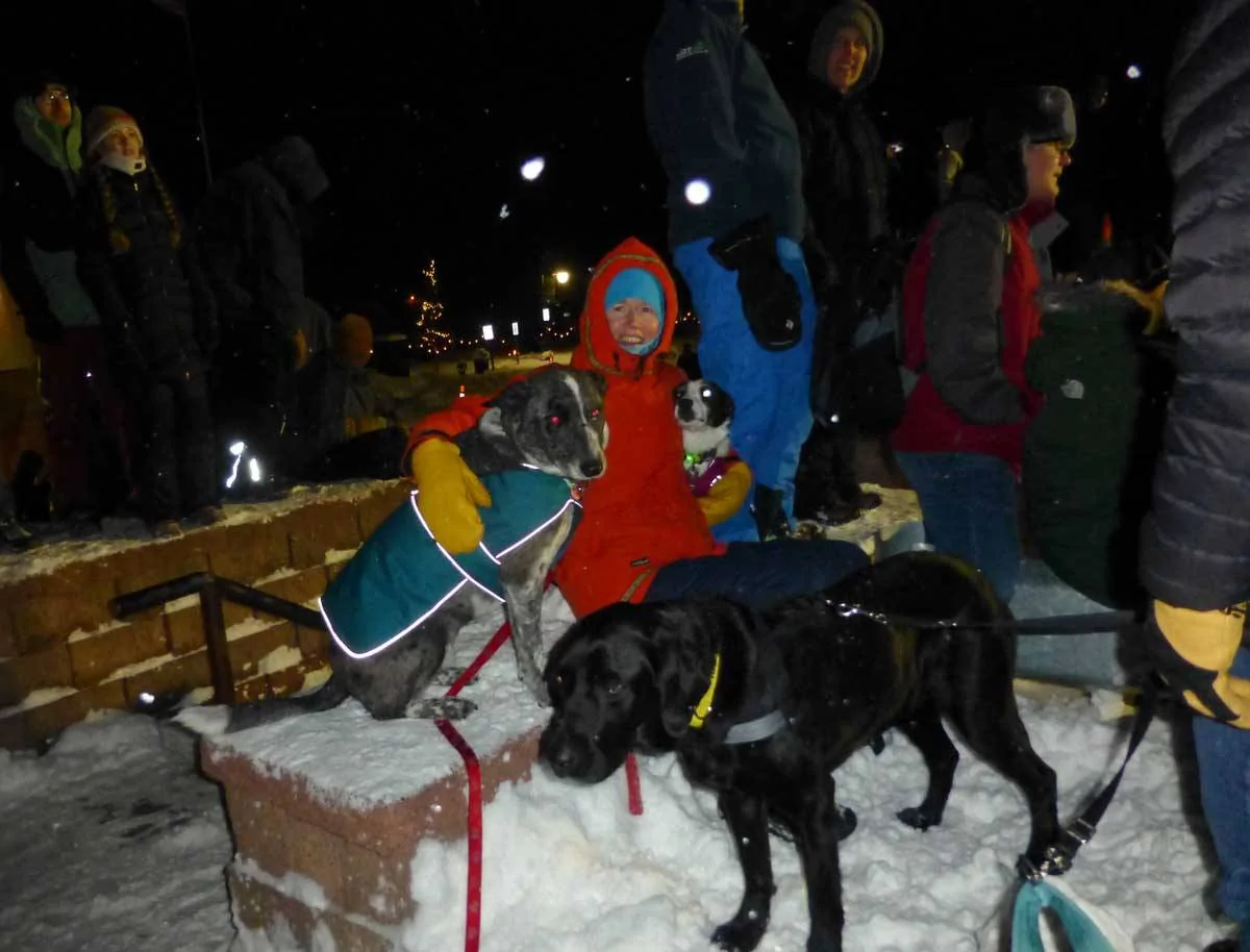 snowsandy0885.webp