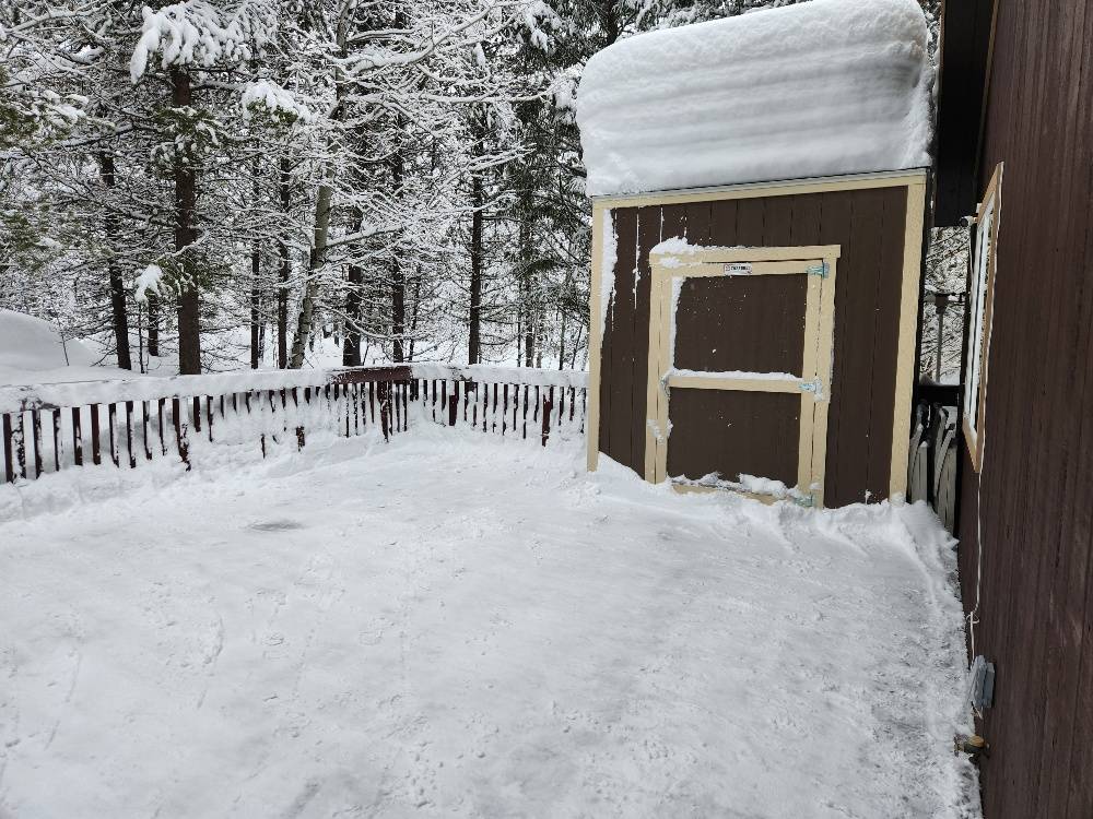 shed 021725.jpg