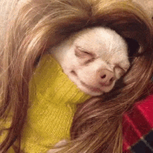 1739976627903-x9.gif