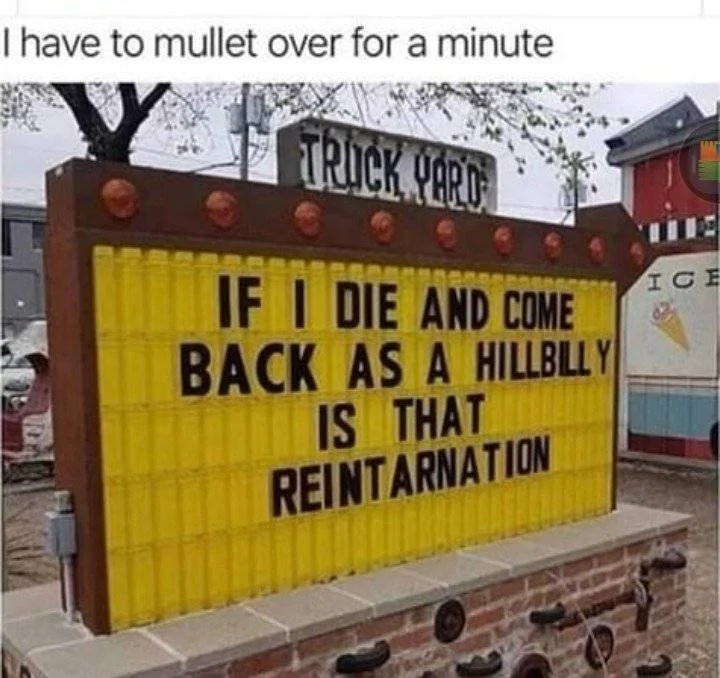 Reintarnation.webp