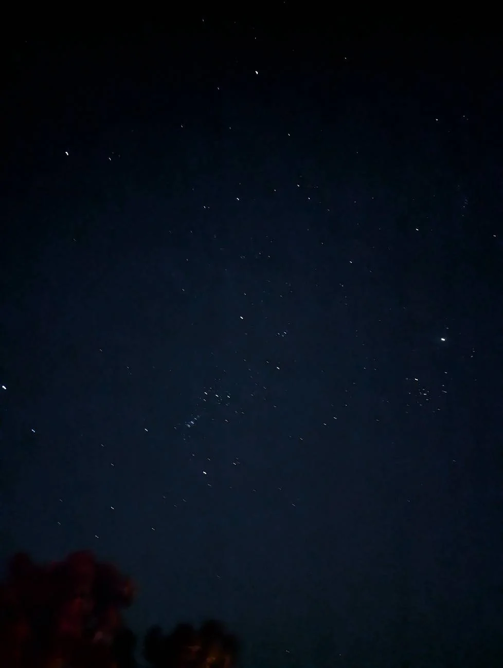 PXL_20250222_051537723.NIGHT.webp