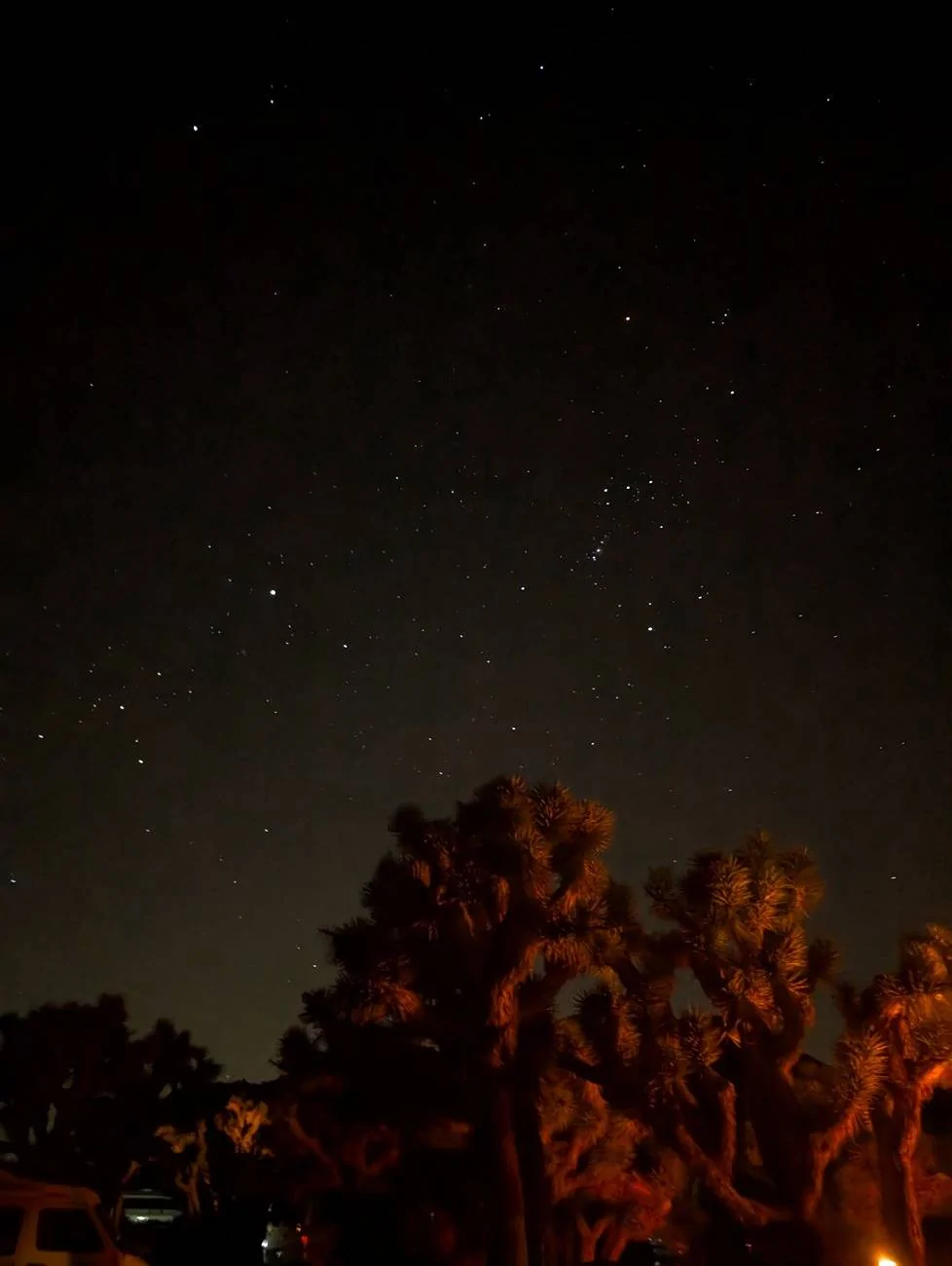 PXL_20250222_051730180.NIGHT.webp