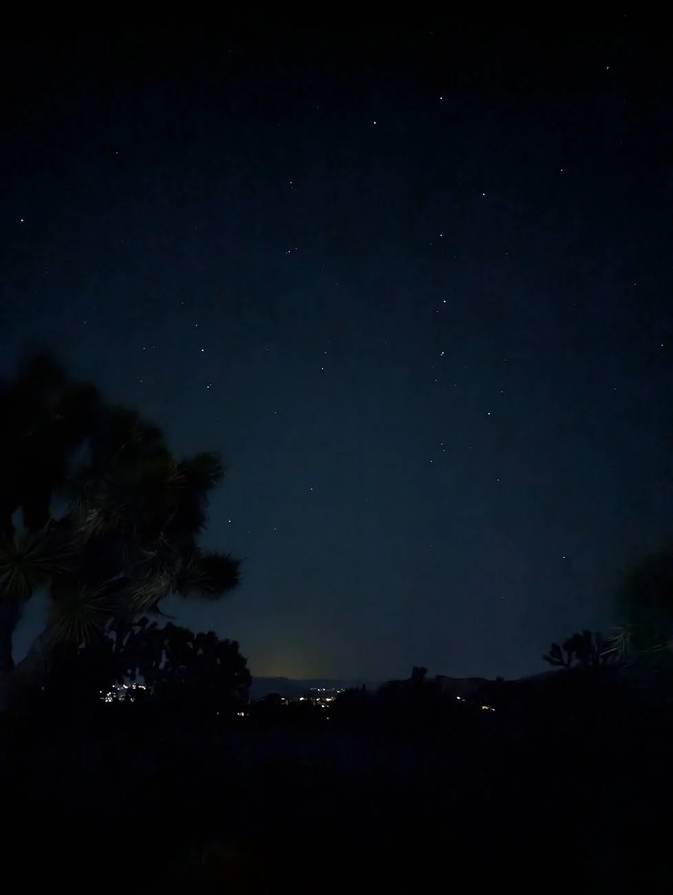 PXL_20250222_050455169.NIGHT.webp