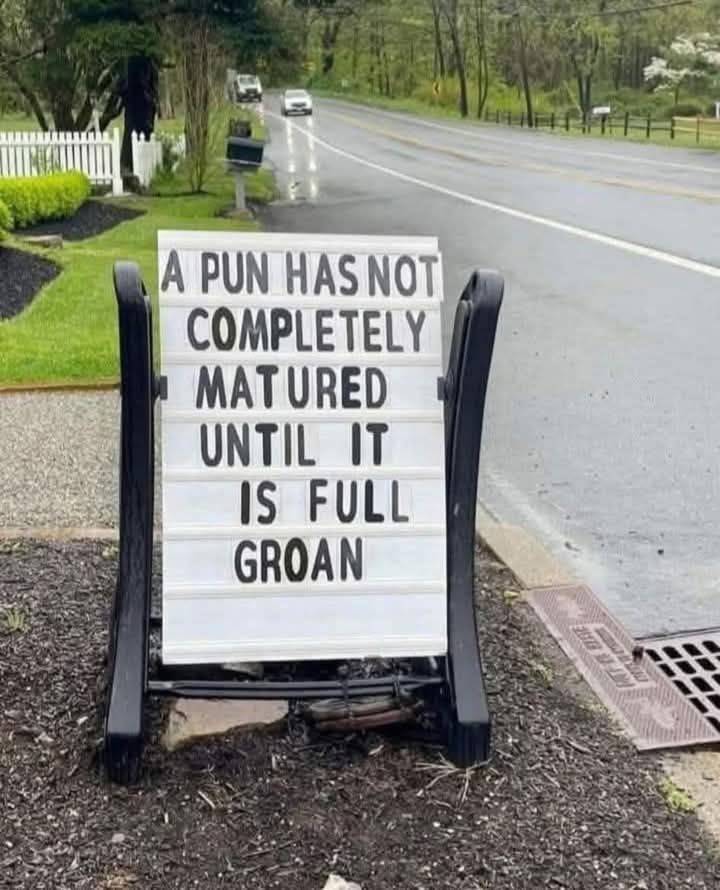 Pun.jpg