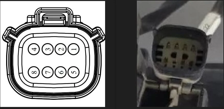 Halo Combo.jpeg