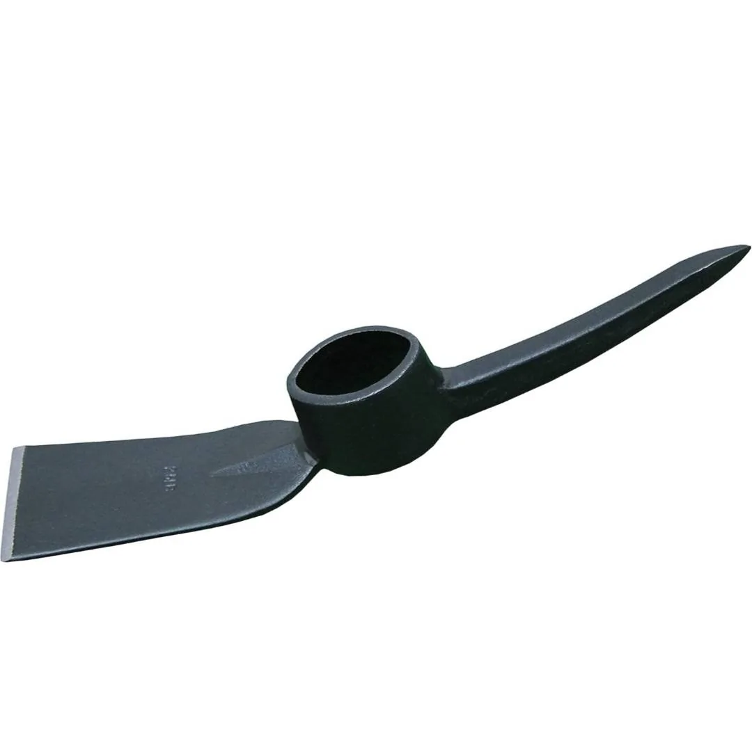 1000024407.webp