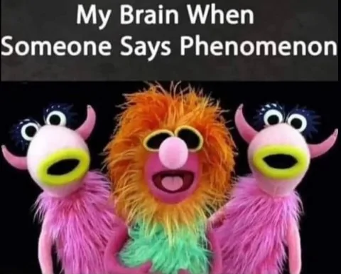 Phenomenon.webp