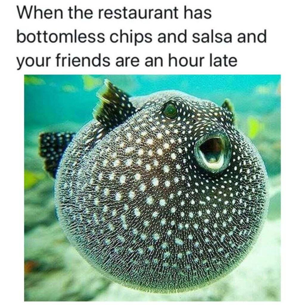 Chips Salsa.jpg