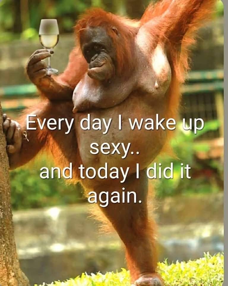 Sexy.jpg