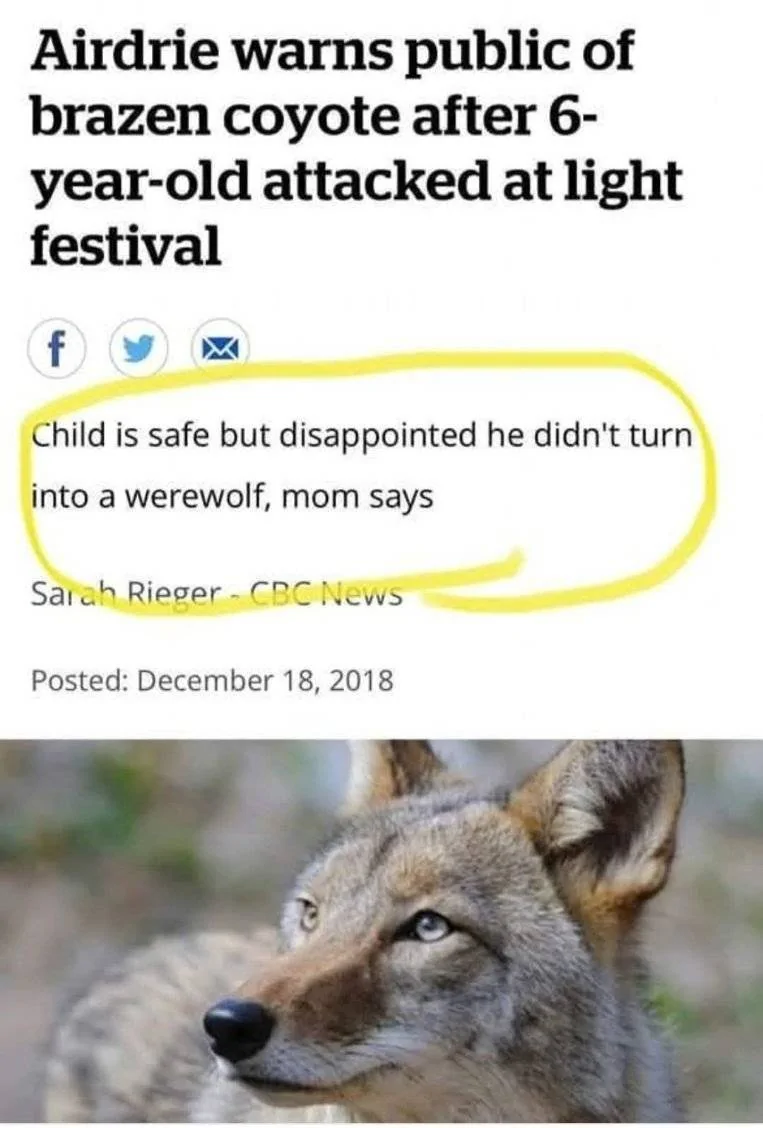 Coyote.webp