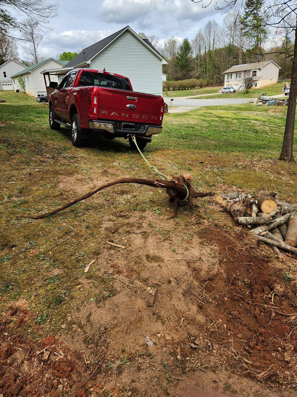 Stump.jpg
