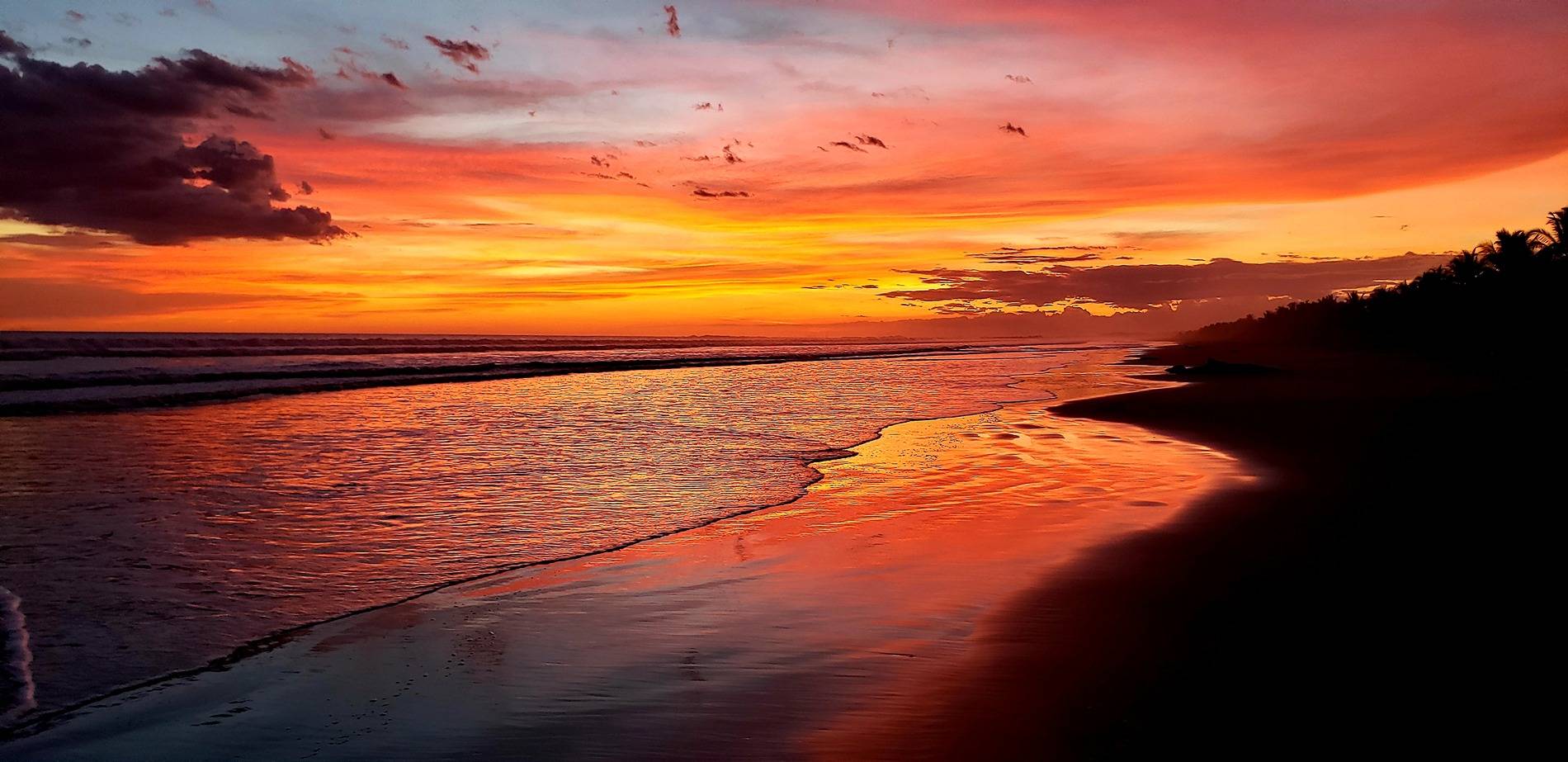 sunset.jpg