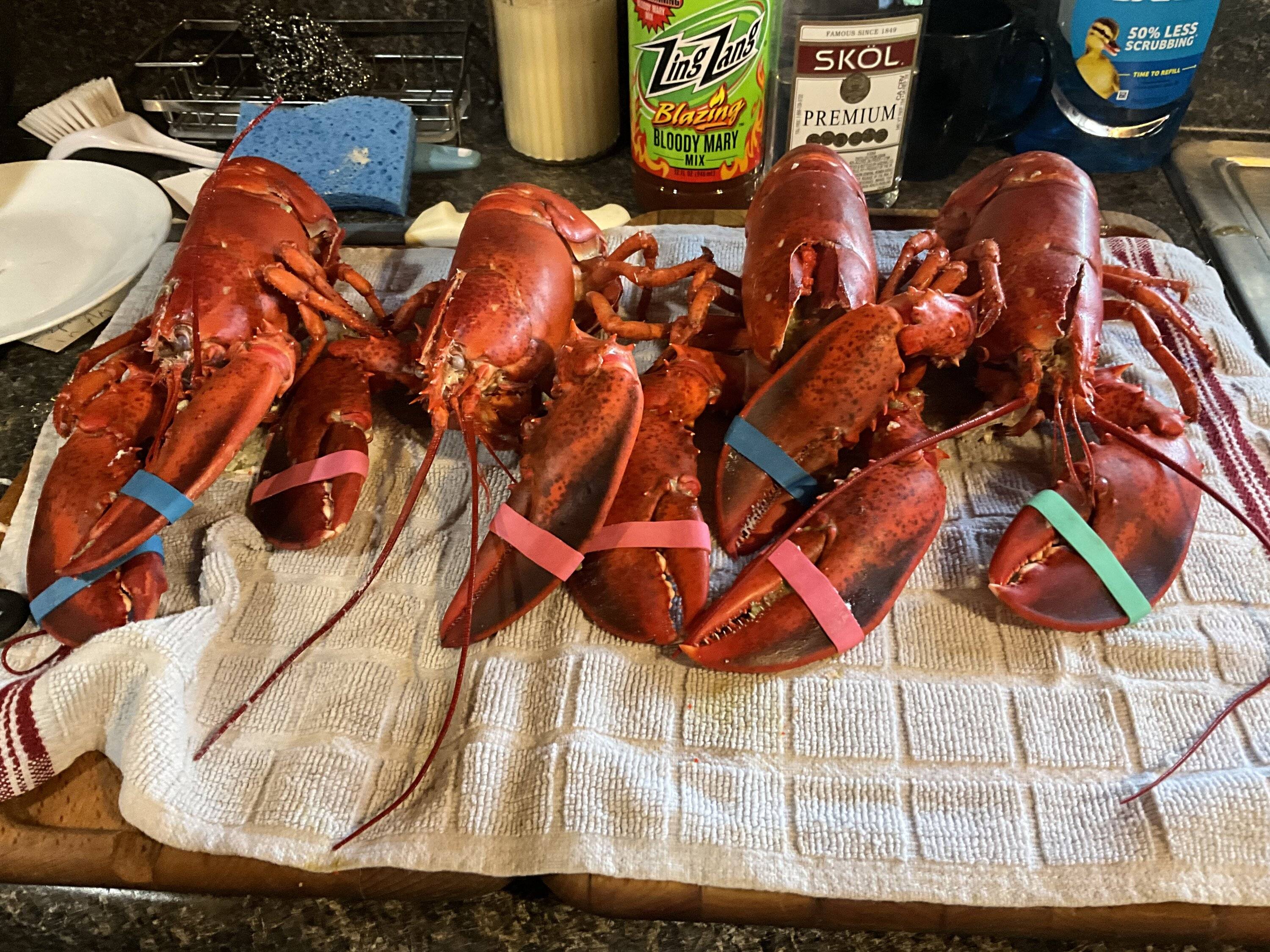 IMG_0147.jpeg