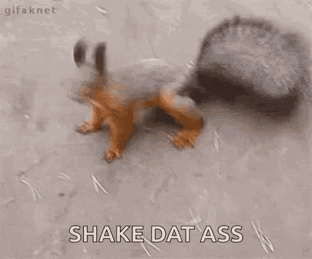 1744656360515-pk.gif