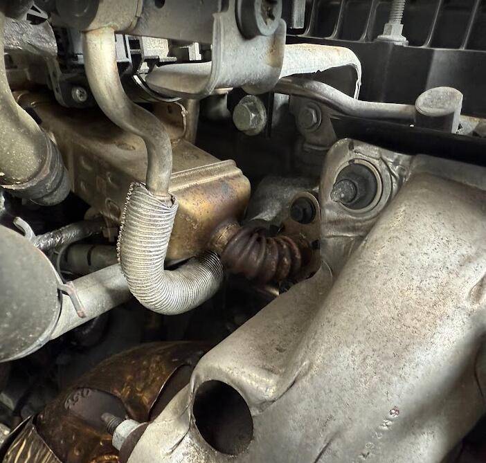 egrGasket.jpg