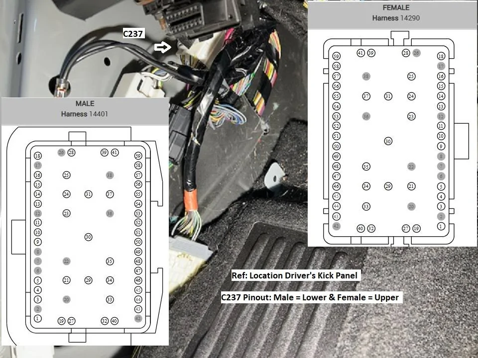 C237 Detailed.jpg