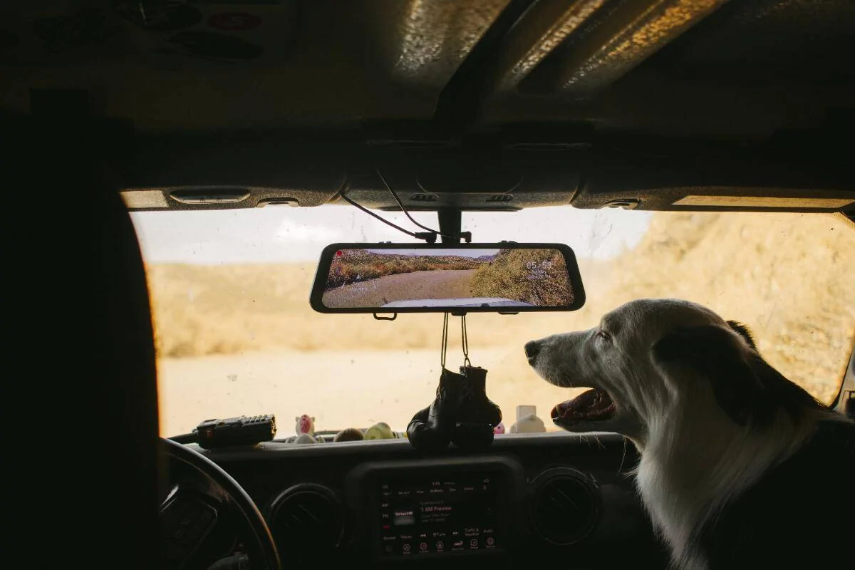 Copilot.jpg