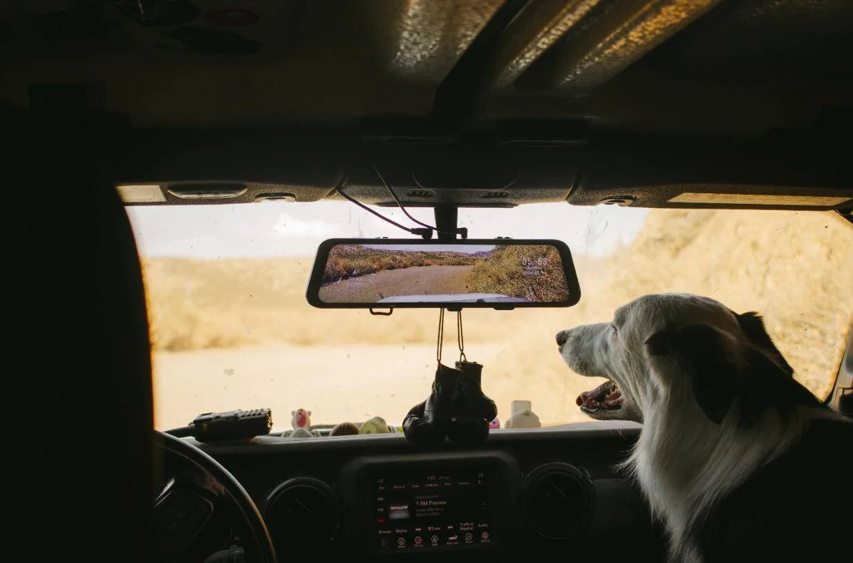 Copilot1.jpg