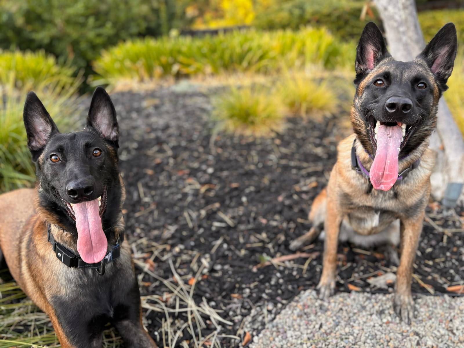 Ava & Archie.jpg