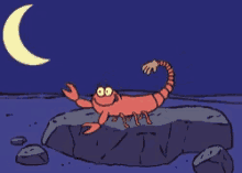 scorpion.gif