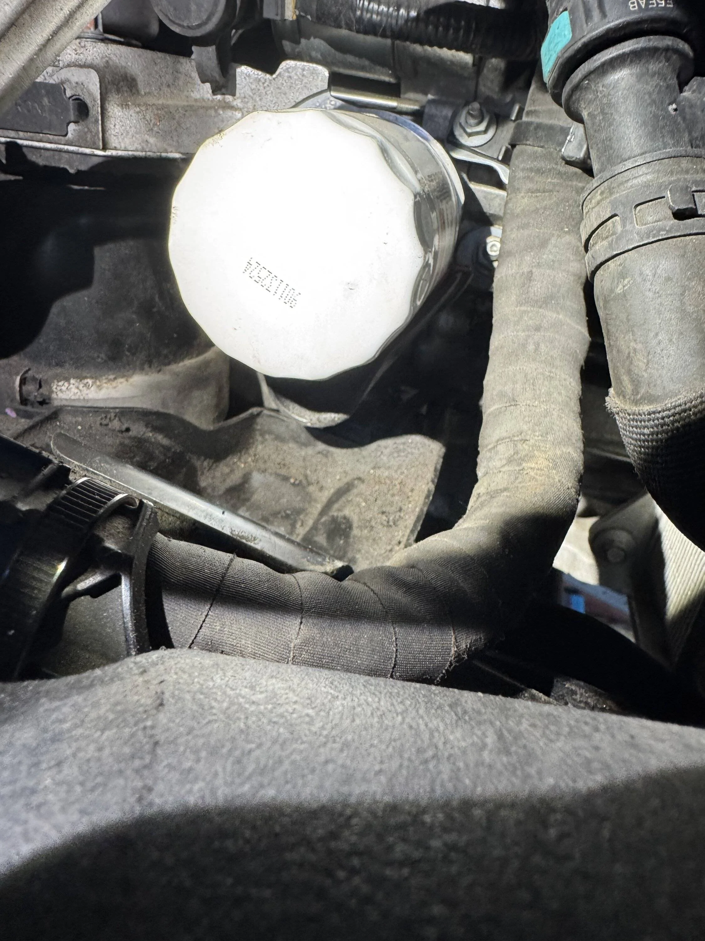 IMG_5116.jpeg