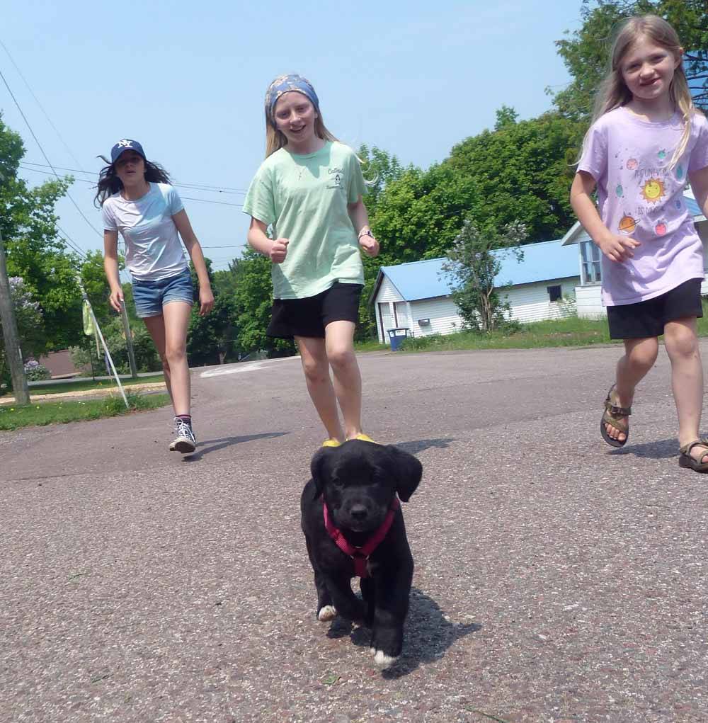 pupgirls026.jpg