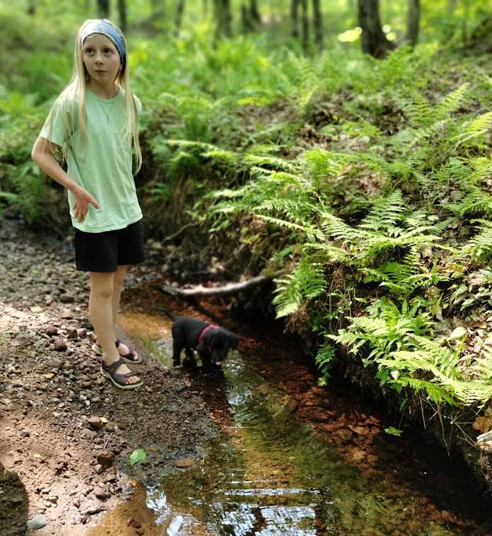 pupcreek1447_n.jpg