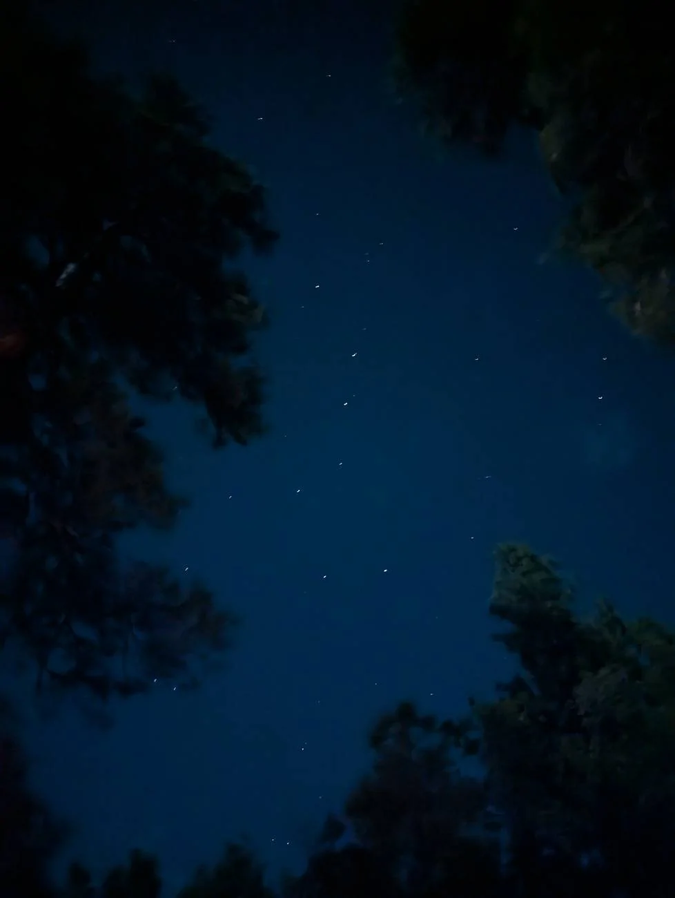 PXL_20250609_052331384.NIGHT.webp