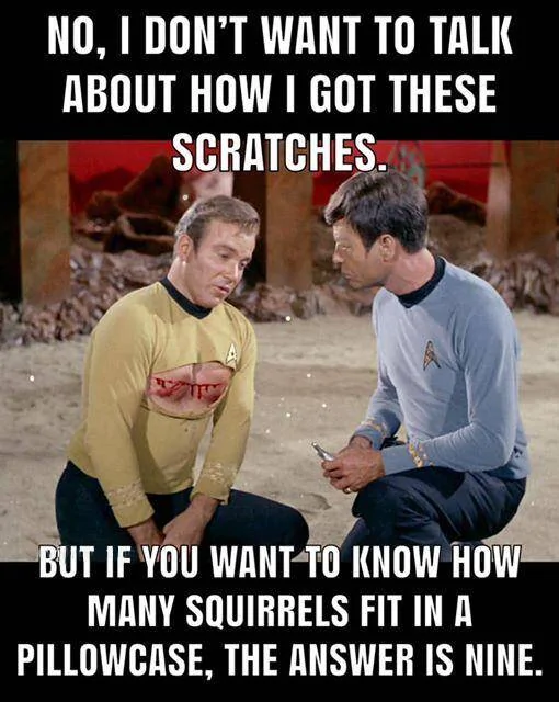 Squirrels.webp