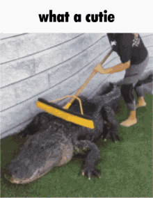 1750877907350-ly.gif