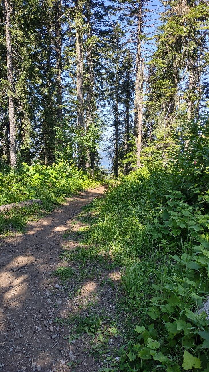 IMG_20250708_102741758_HDR.jpg