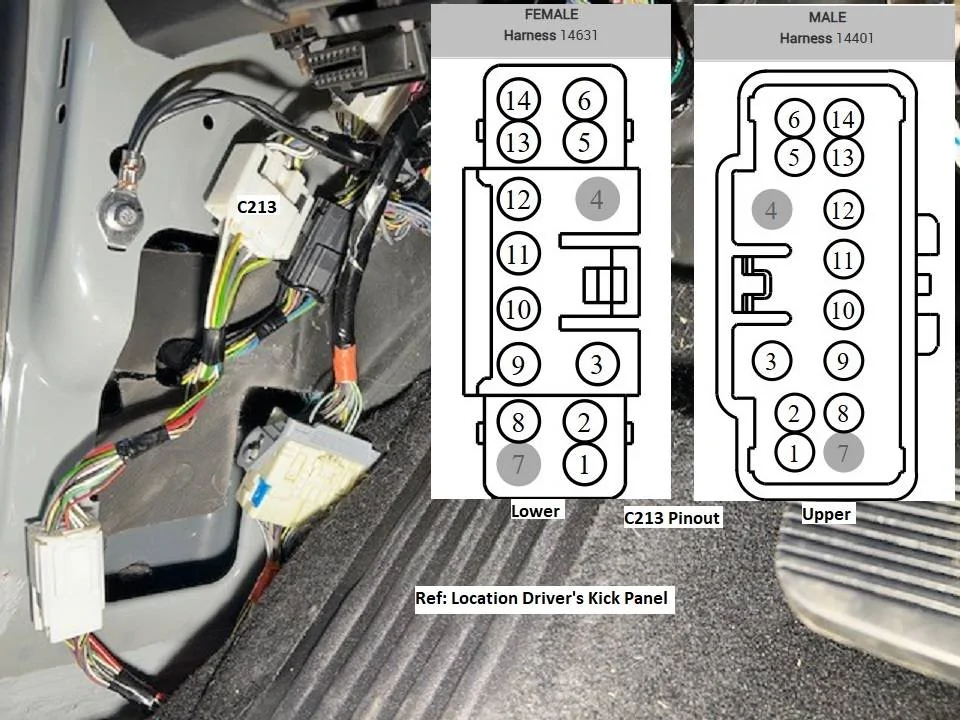 C213 Detailed.jpeg