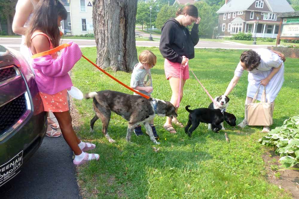 dogschurch0316.jpg