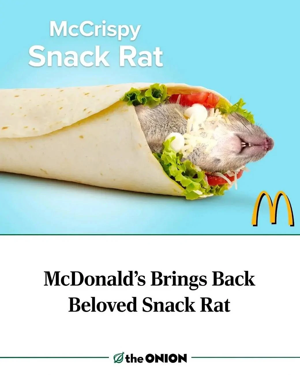 Snack Rat.webp