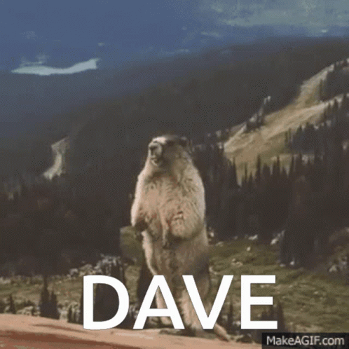 1000000653.gif