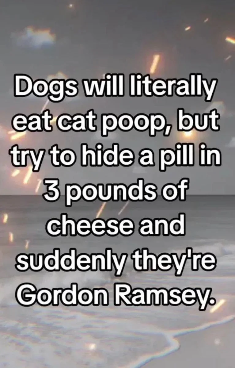 Gordon.webp