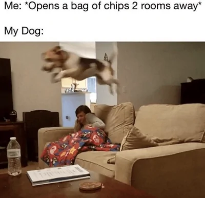 Chips.webp
