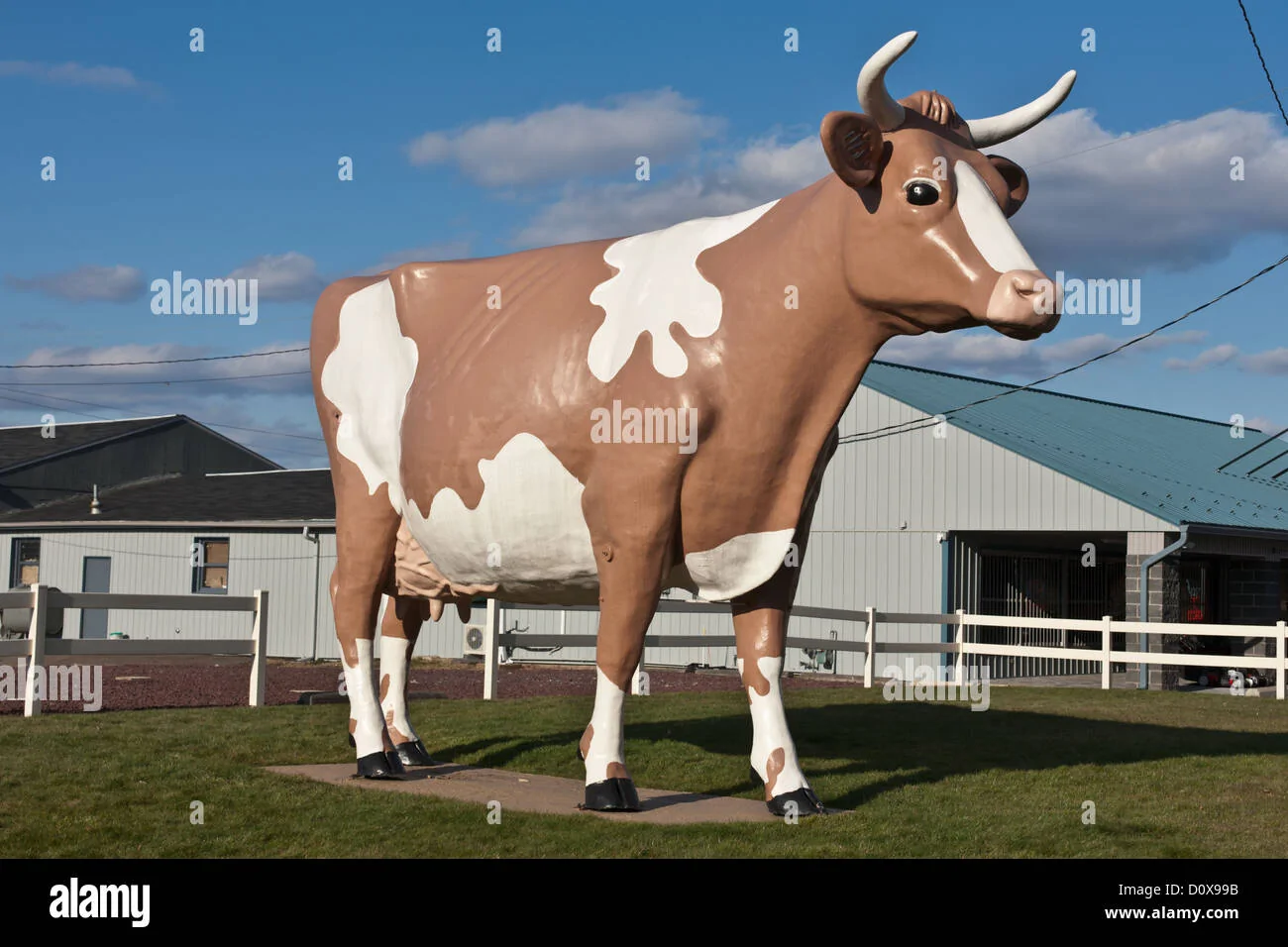 giant-plastic-cow-roadside-attraction-pennsylvania-D0X99B.jpg